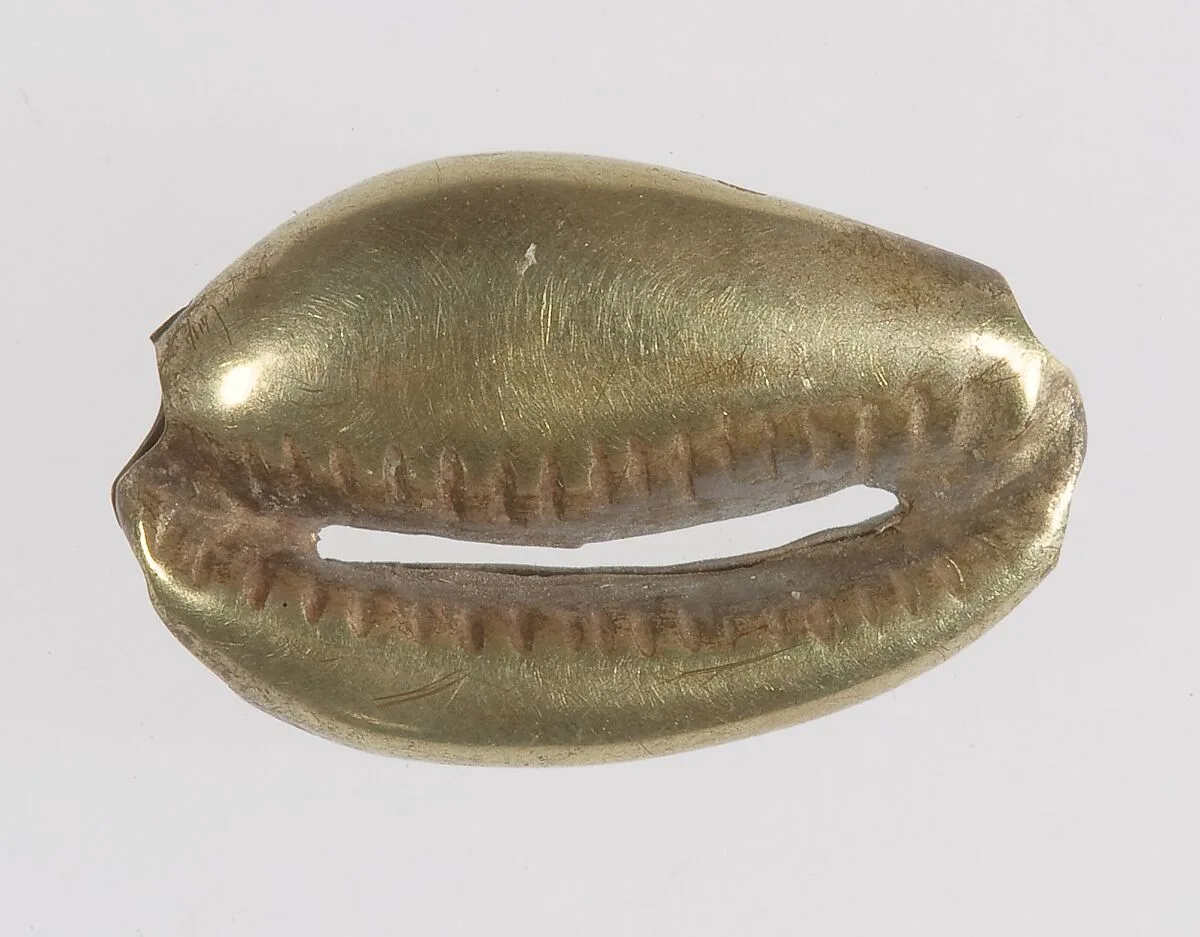 Cowrie shell bead — Unknown