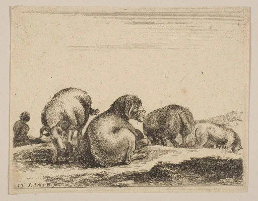 Plate 12: Sheep and ram in a pasture, from "Various animals" (Diversi animali)
