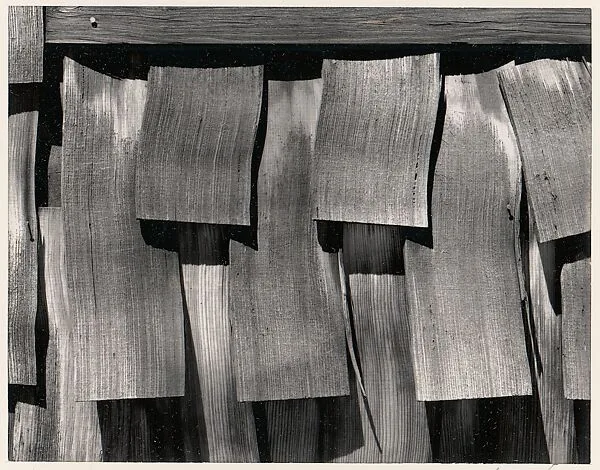 Shingles, Yosemite Valley, California — Ansel Easton Adams