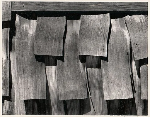 Shingles, Yosemite Valley, California