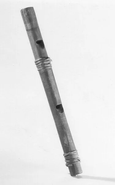 Double Whistle — Unknown