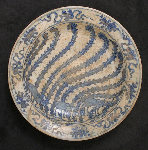 Dish
