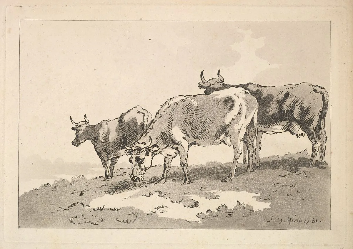 Three Cows Standing on the Ridge of a Field — Thomas Rowlandson|Sawrey Gilpin