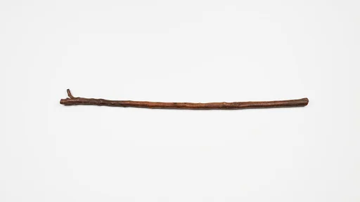 Staff of Lady Djabwet