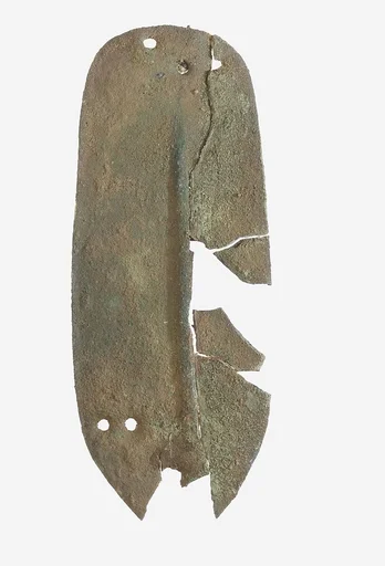 Scale from Armor