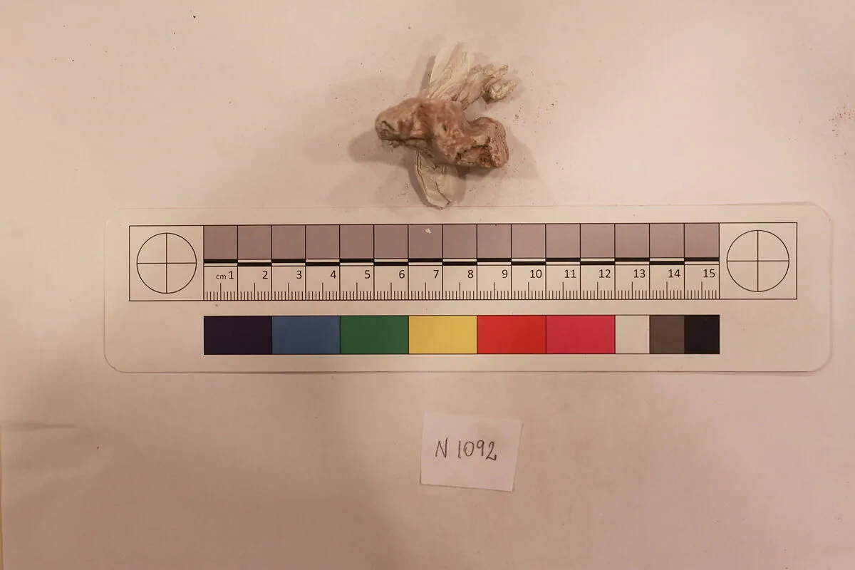 Stucco Fragment — Unknown