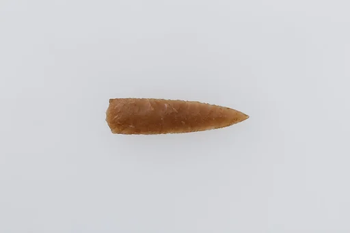 Projectile Point
