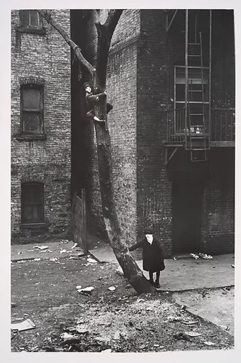 [Two Masked Boys Playing, One Climbing a Tree, New York City]