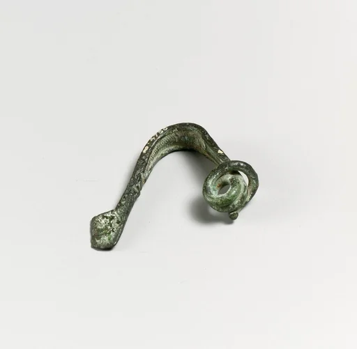 Fibula