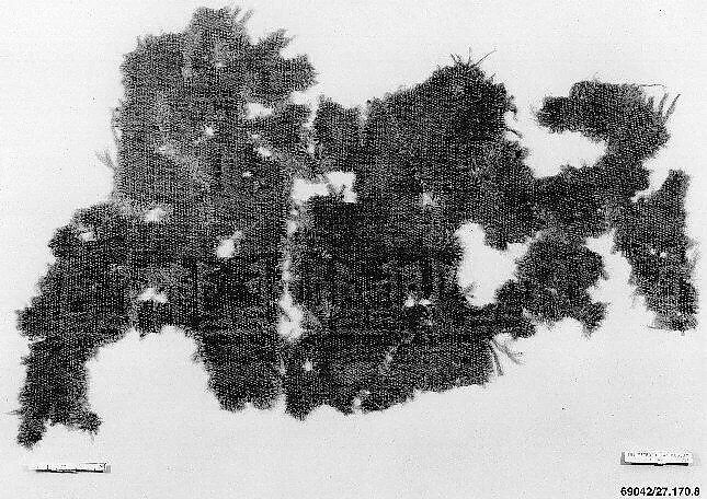 Carpet Fragment — Unknown