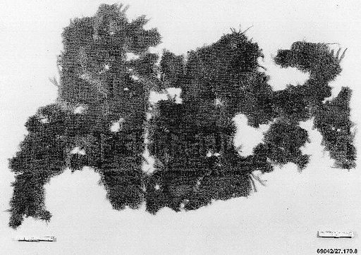 Carpet Fragment