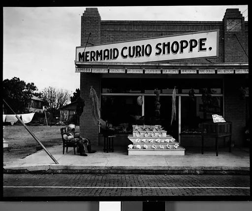 [Mermaid Curio Shoppe, Florida]
