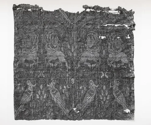 Textile Fragment