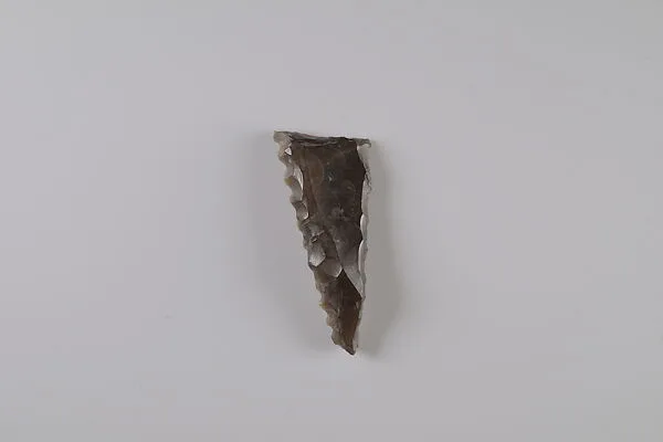 Sickle Insert — Unknown