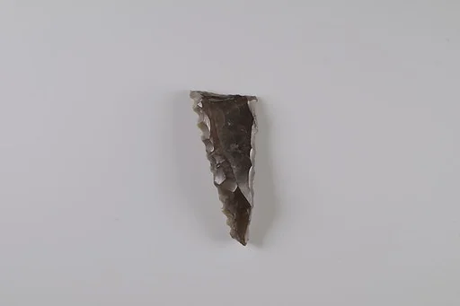 Sickle Insert