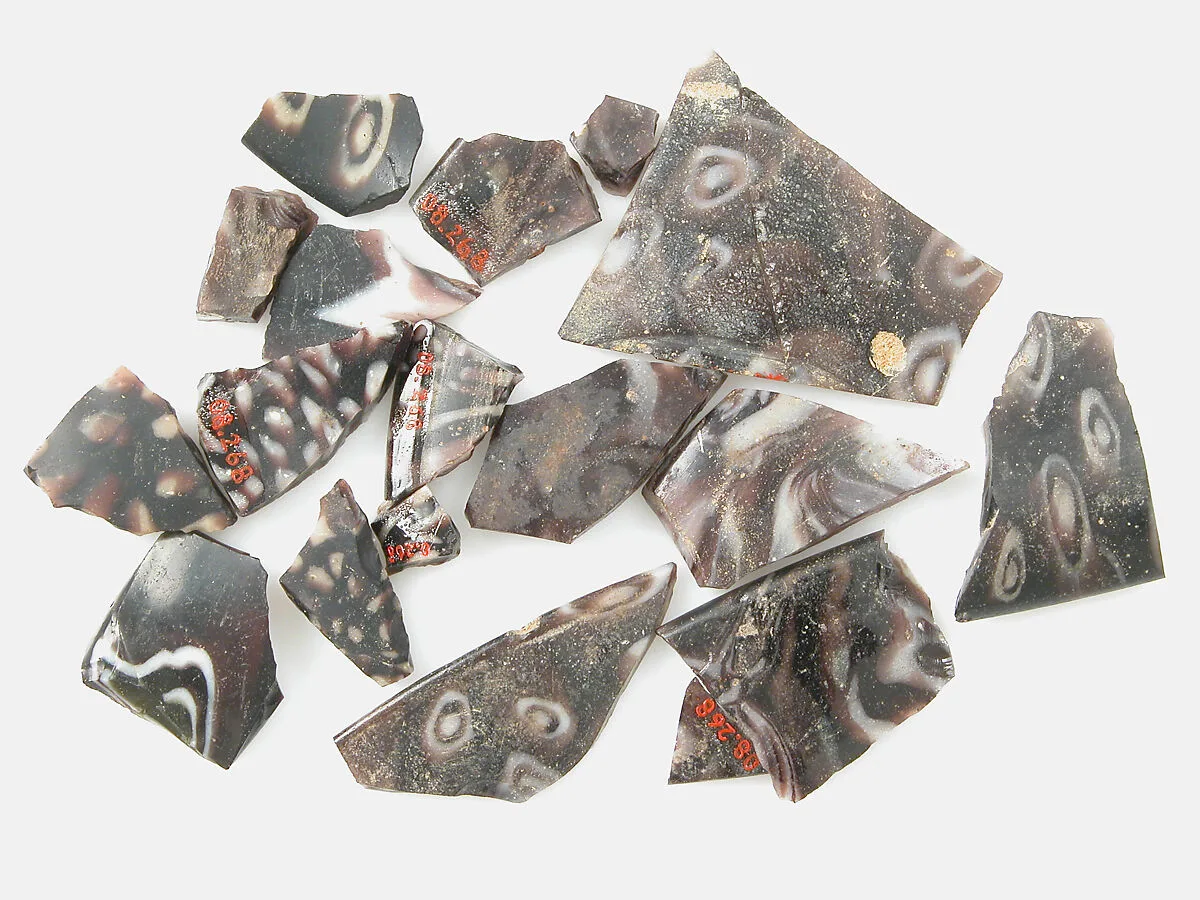 Glass Fragments from a Vessel — Unknown