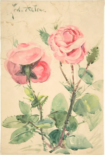 Two Roses