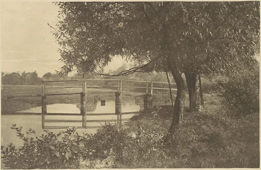 On the "Sow" near Walton's House at Shallowford