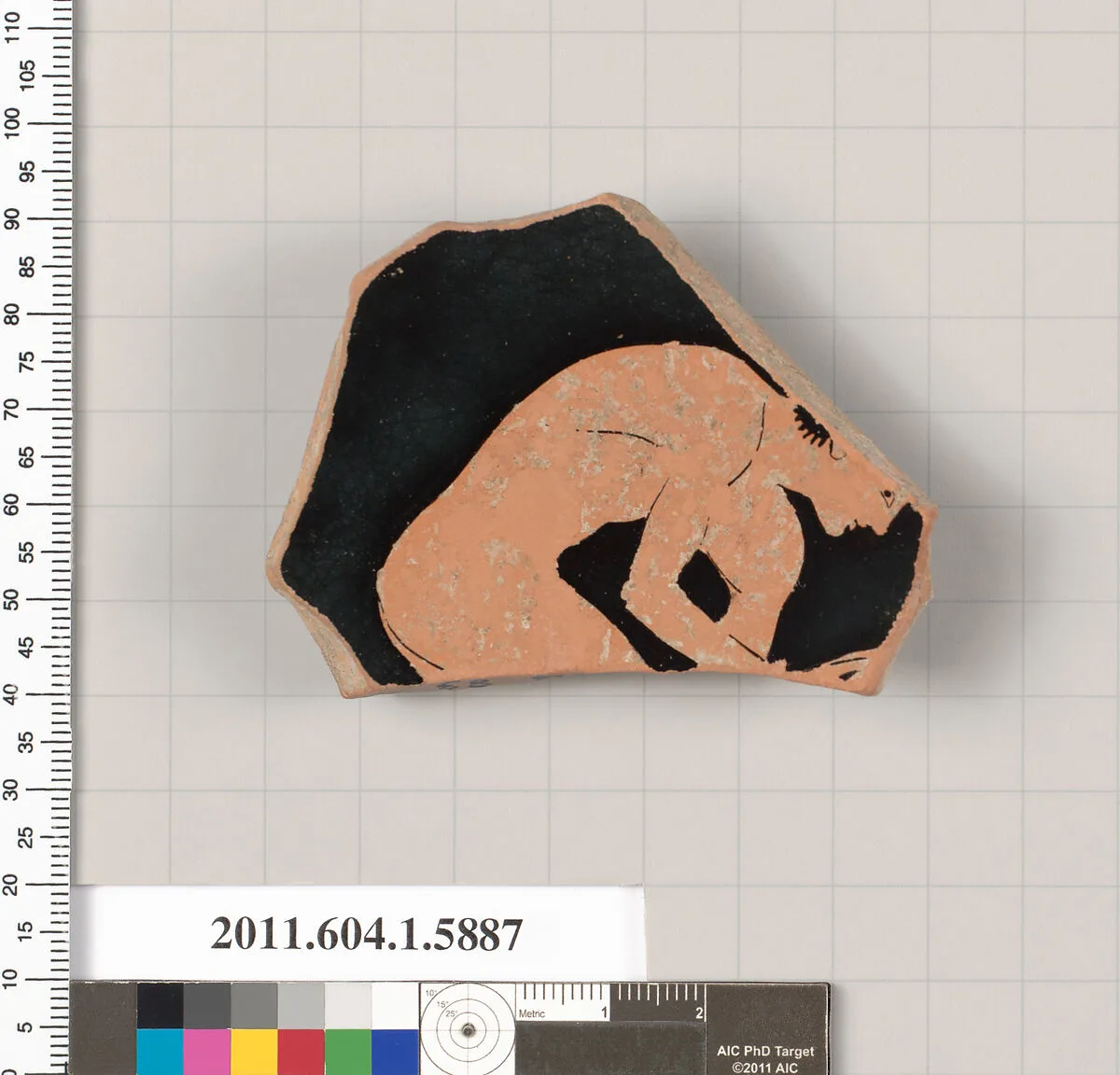 Terracotta fragment of a kylix (drinking cup) — Unknown