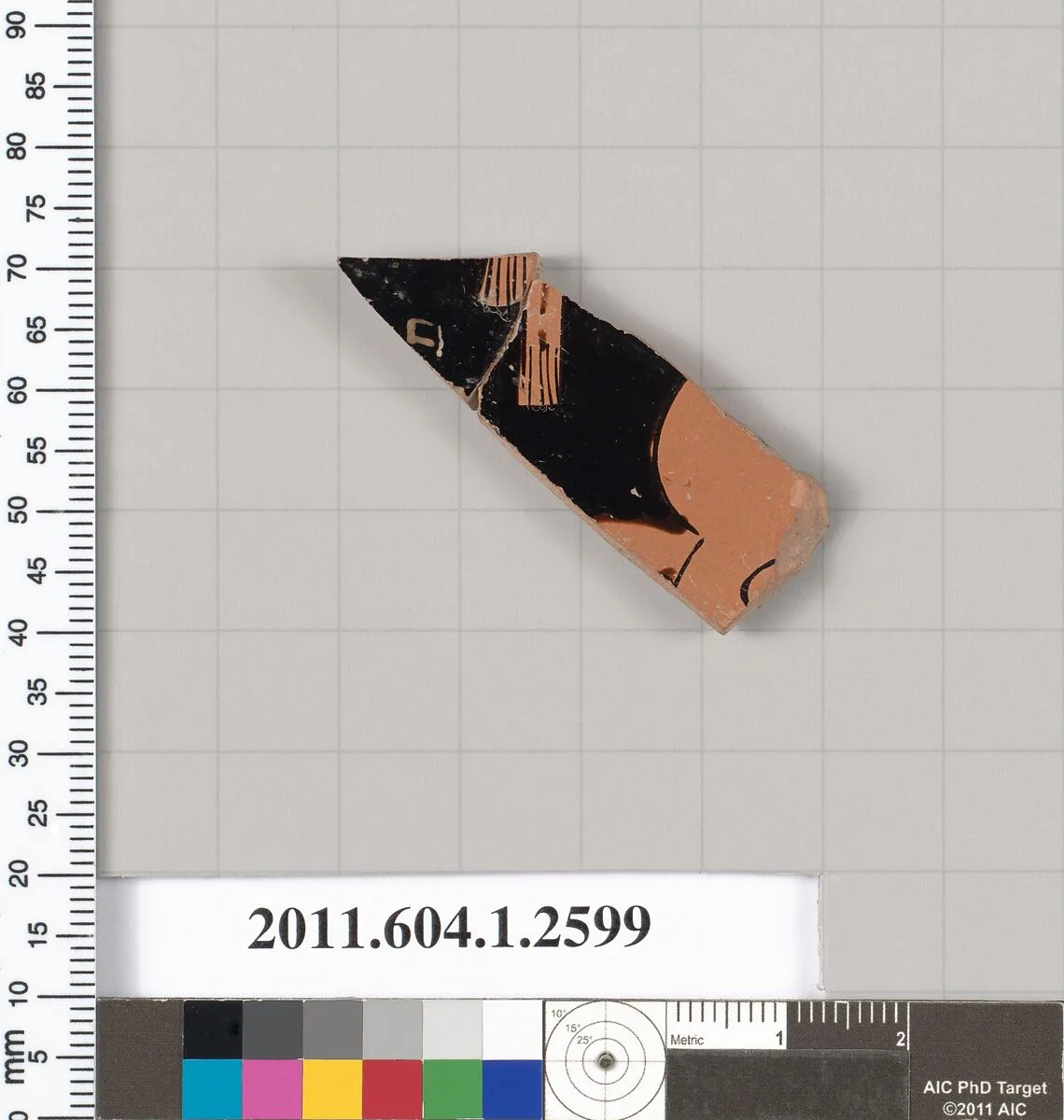 Terracotta fragment of a kylix (drinking cup) — Unknown
