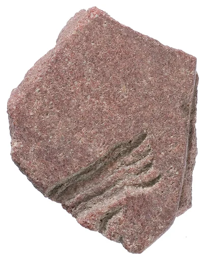 Hand raised in worship adjacent to Aten ray (?)