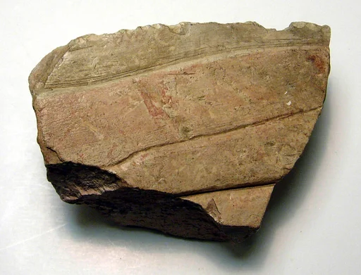 Raised relief fragment