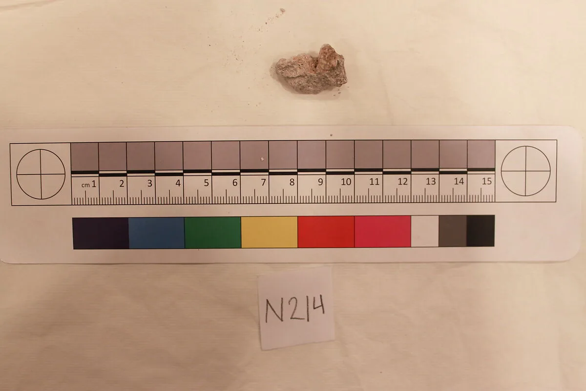 Stucco Fragment — Unknown