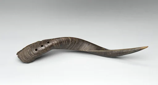 Horn