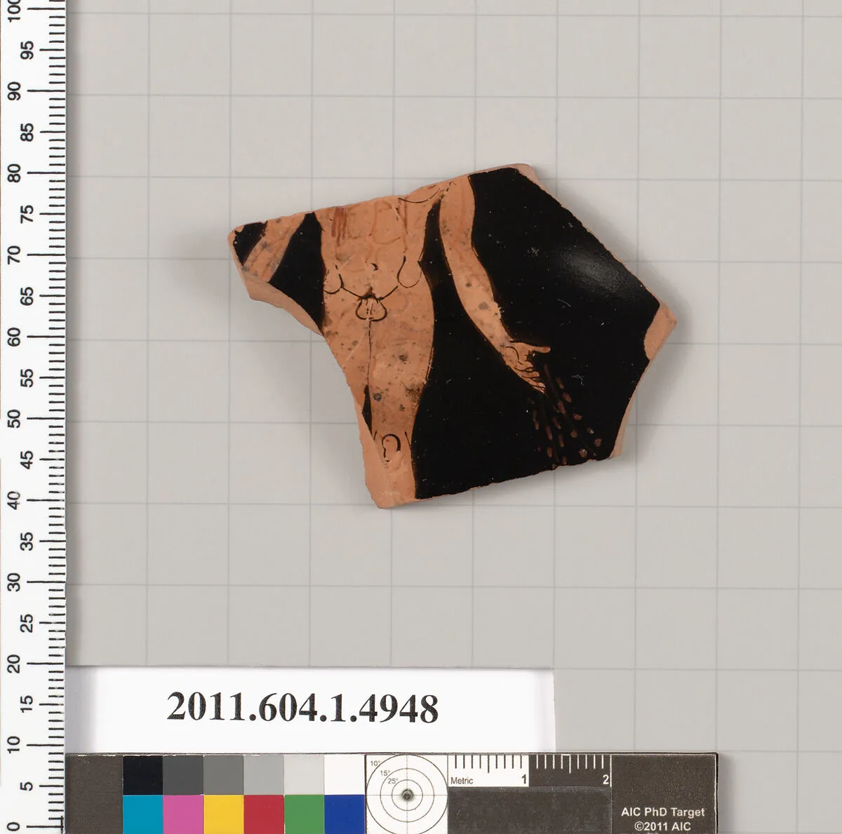 Terracotta fragment of a kylix (drinking cup) — Unknown