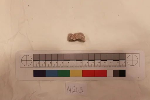 Stucco Fragment