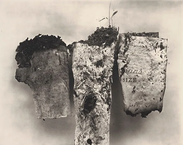 Cigarette No. 85, New York — Irving Penn