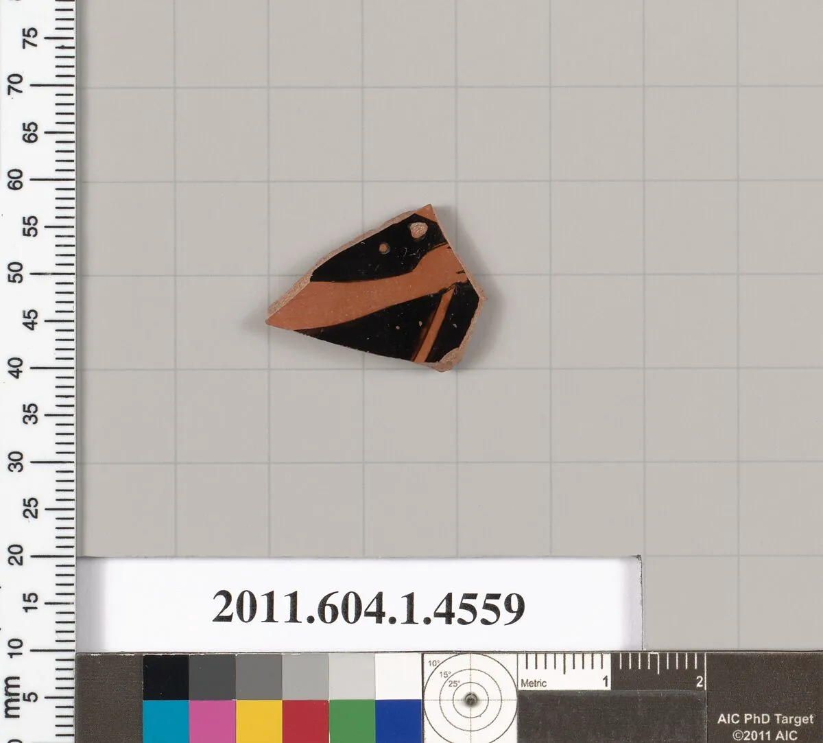 Terracotta fragment of a kylix (drinking cup) — Unknown