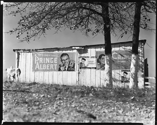 [Cigarette Advertisements on Barn Façade, Chilton County, Alabama]