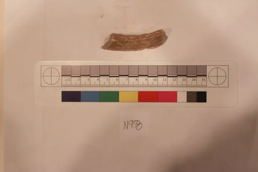 Stucco Fragment