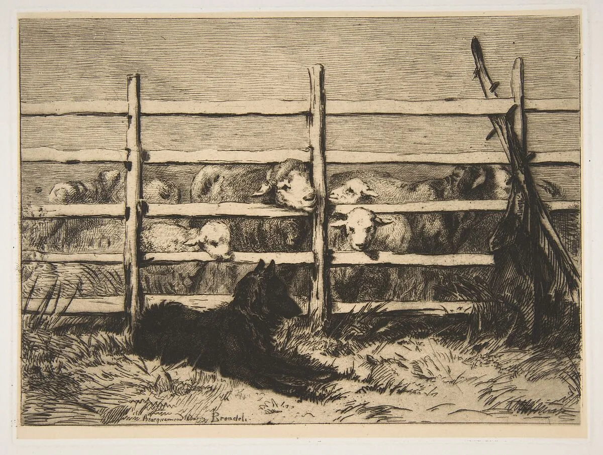 Moutons parqués — Félix Bracquemond|Albert Brendel