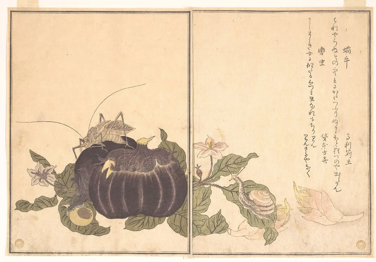『画本虫撰』「蝸牛」「轡虫」|Land Snail (Katatsumuri); Giant Katydid (Kutsuwamushi), from the Picture Book of Crawling Creatures (Ehon mushi erami) — Kitagawa Utamaro