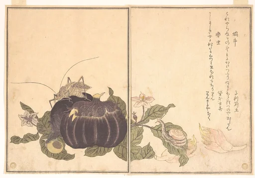 『画本虫撰』「蝸牛」「轡虫」|Land Snail (Katatsumuri); Giant Katydid (Kutsuwamushi), from the Picture Book of Crawling Creatures (Ehon mushi erami)