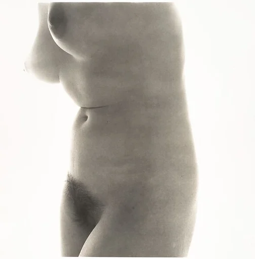 Nude No. 31