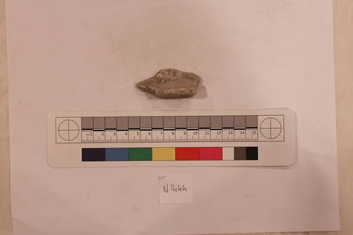 Stucco Fragment