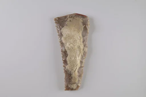 Sickle Insert
