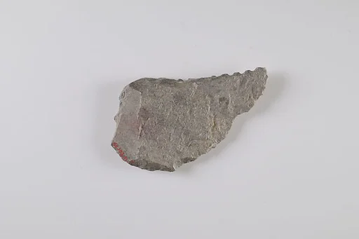 Sickle Insert Fragment