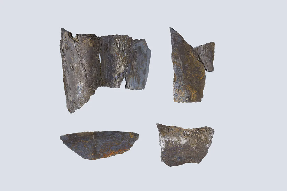 Situla fragments — Unknown