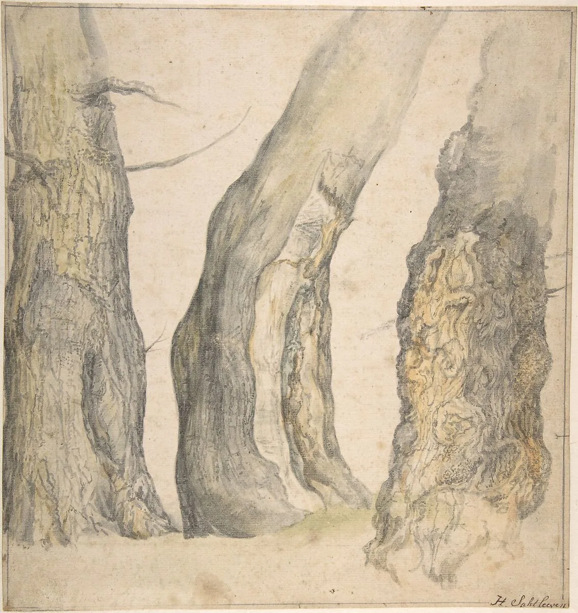 Study of Three Old Gnarled Trees — Jan Siberechts