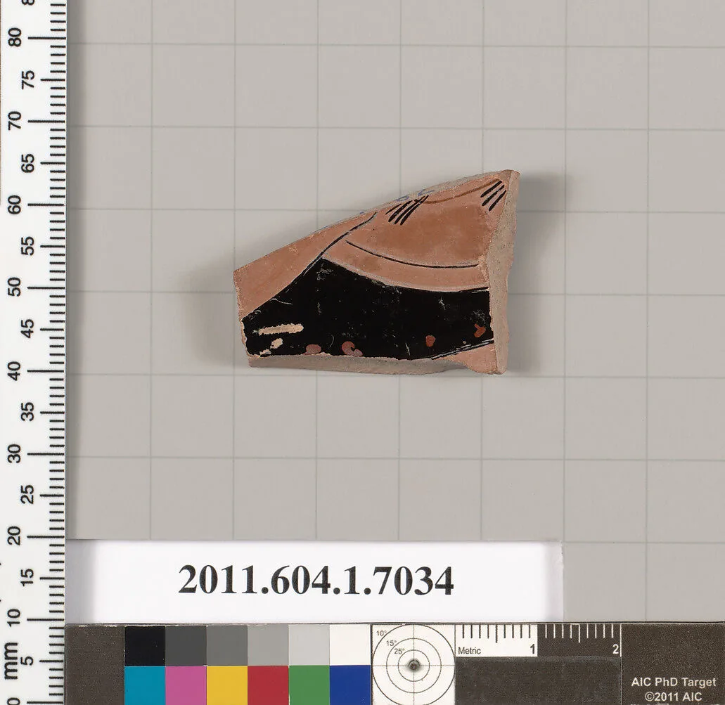Terracotta fragment of a kylix (drinking cup) — Unknown