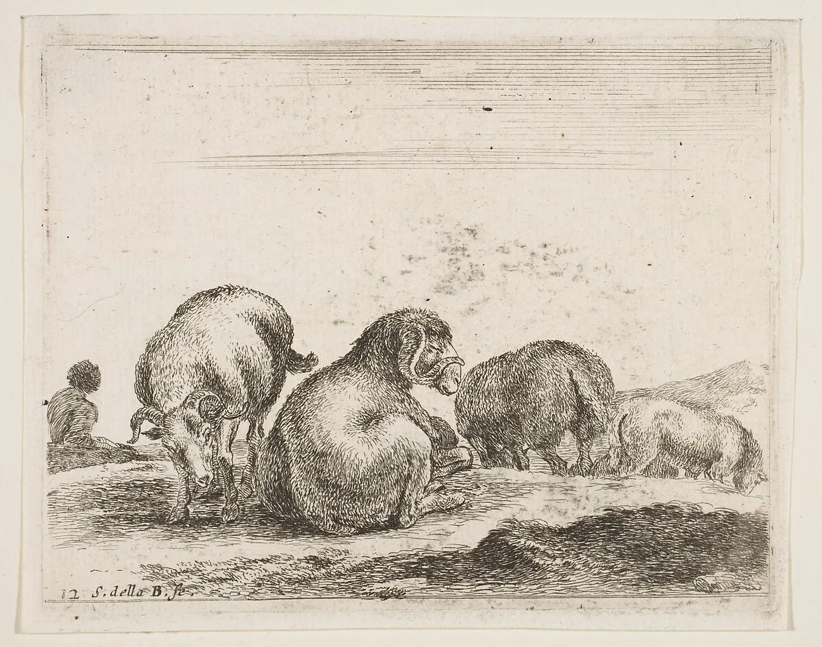Sheep and ram in a pasture, plate 12 from "Various Animals" (Diversi Animali) — Stefano della Bella