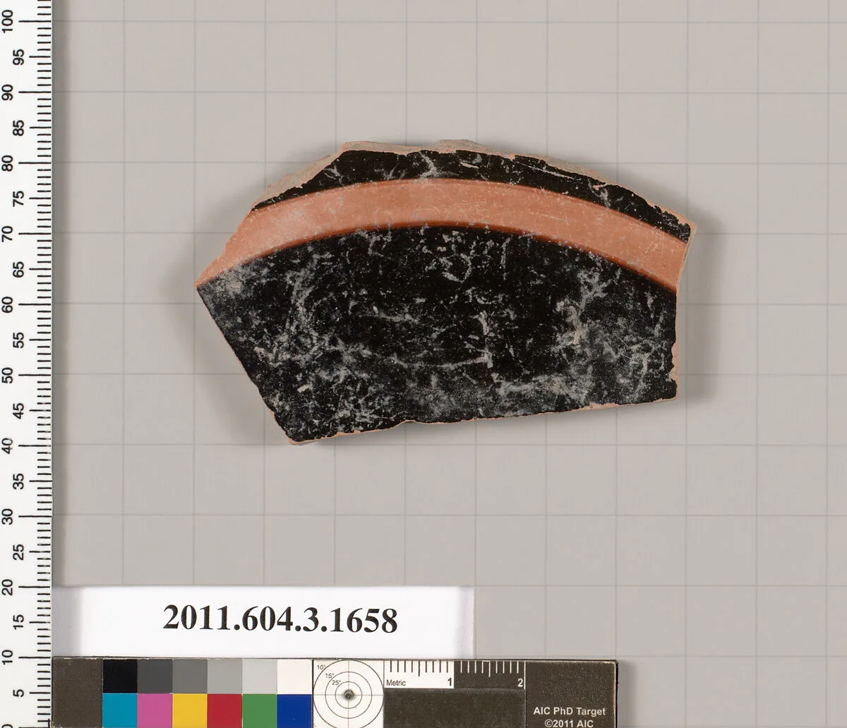 Terracotta fragment of a kylix: Band or lip cup (drinking cup) — Unknown