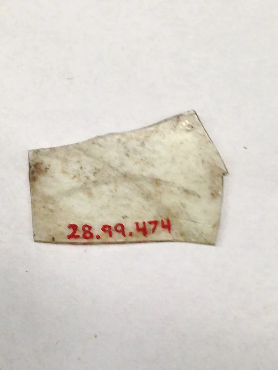 Fragment — Unknown