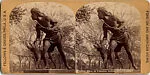 [23 Stereographic Views of Indian Statue, Central Park, New York]
