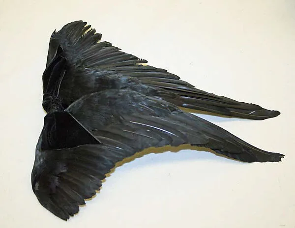 Hat — Mrs. Esther A. Klepper