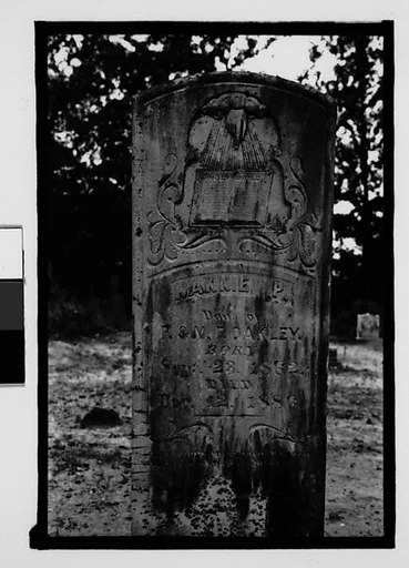 [Gravestone "Nannie P.", Alabama]